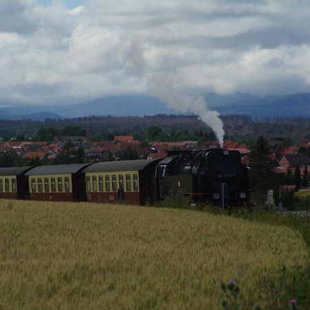 Ferienwohnung Schuur - Harz Hasselfelde Buitenkant foto