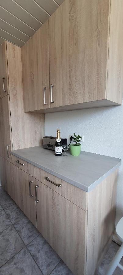 Ferienwohnung Schuur - Harz Hasselfelde Buitenkant foto