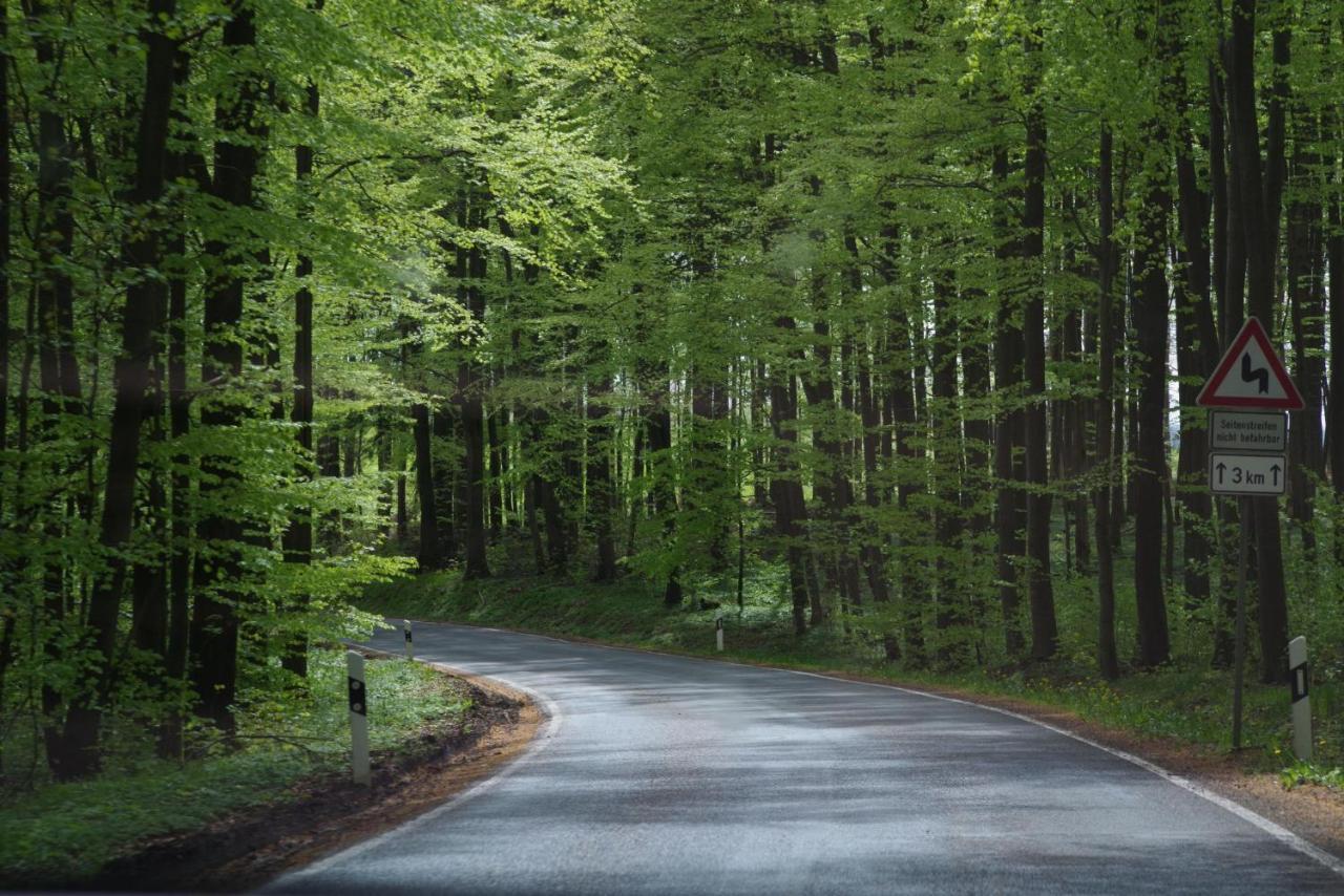 Ferienwohnung Schuur - Harz Hasselfelde Buitenkant foto