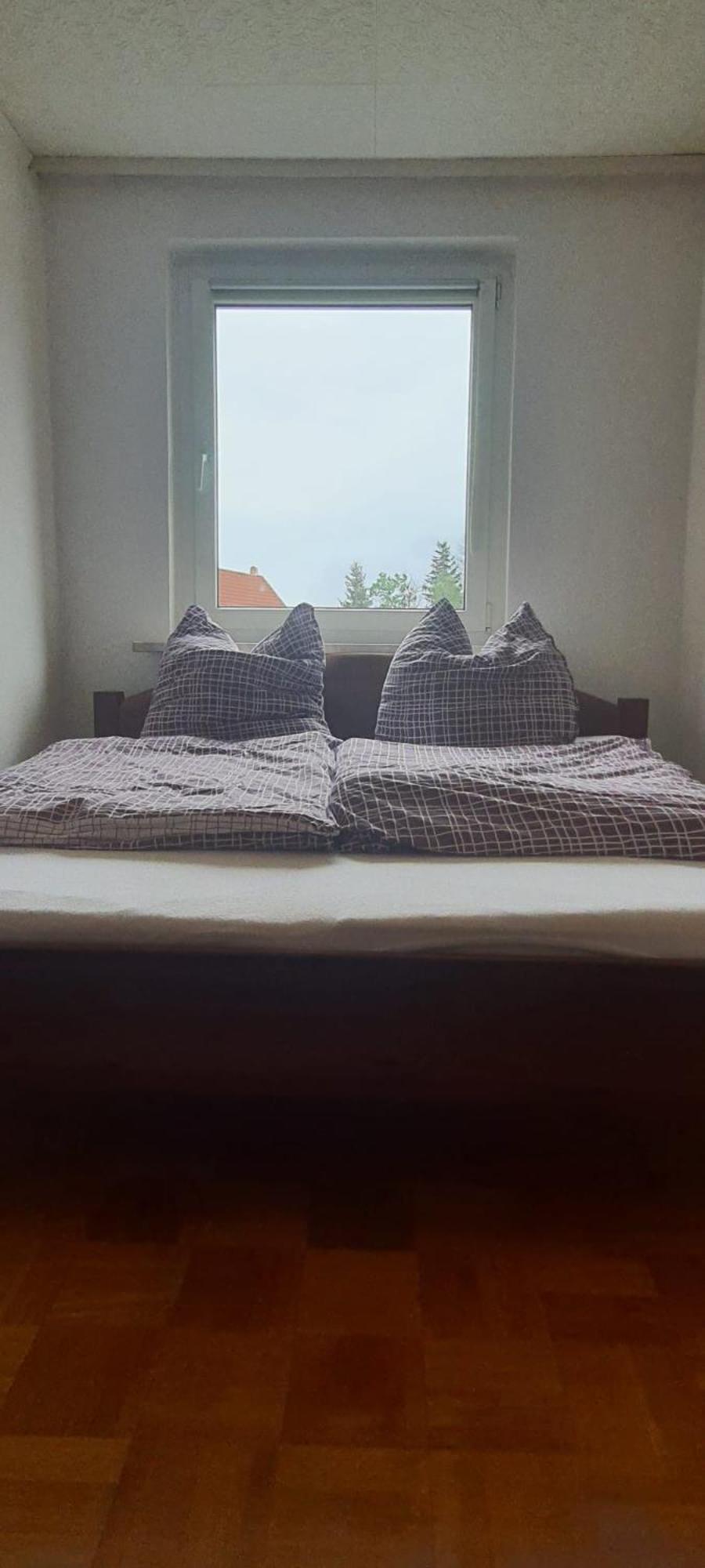 Ferienwohnung Schuur - Harz Hasselfelde Buitenkant foto