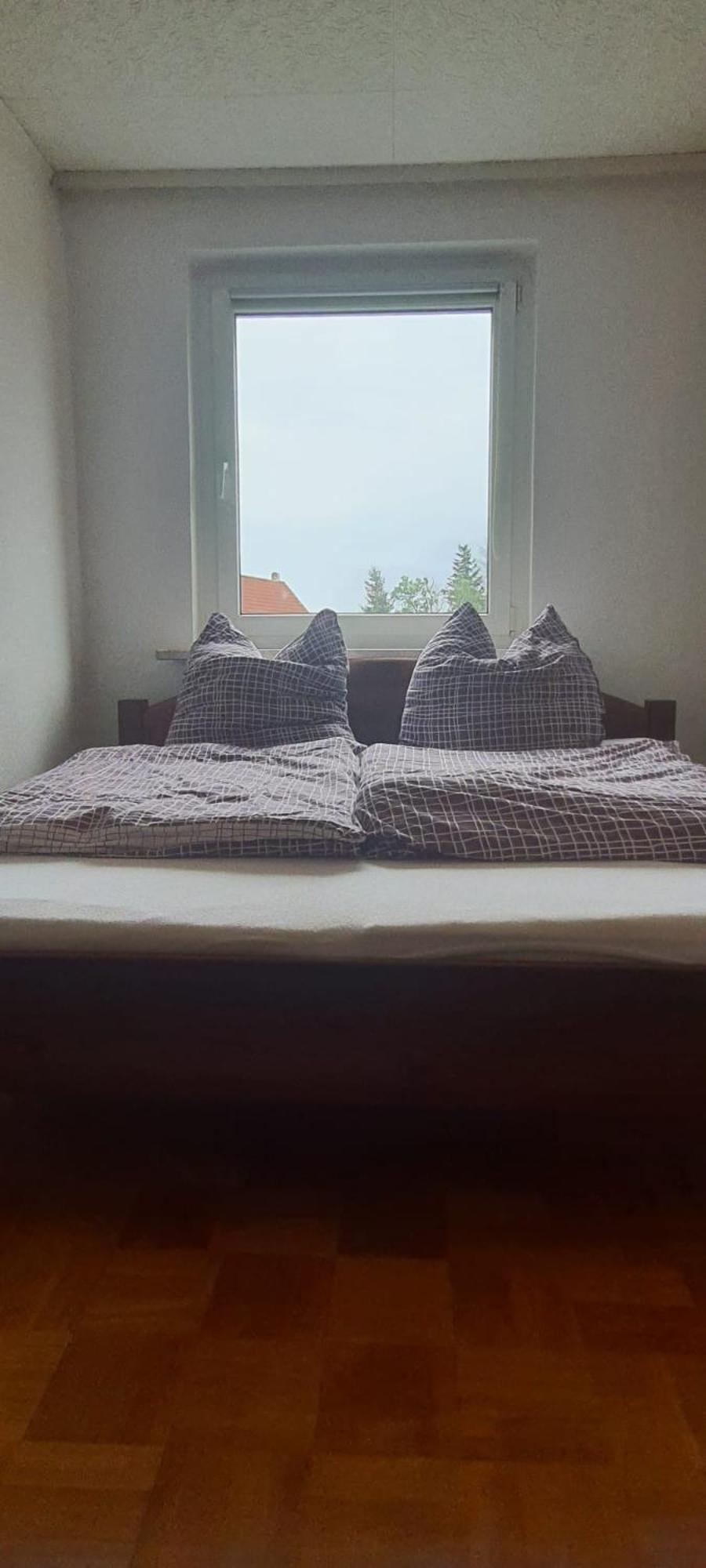 Ferienwohnung Schuur - Harz Hasselfelde Buitenkant foto